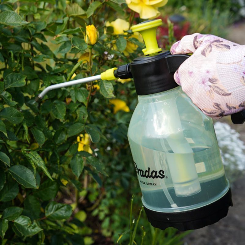 Пневматический опрыскиватель 2л, AQUA SPRAY CLEAR, AS0200CL